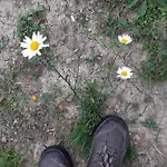 Hiska Ob Gozdu Lukez Plac Ljubno