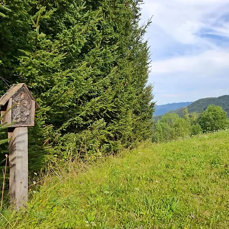 Appartement Hiska Ob Gozdu Lukez Plac Ljubno