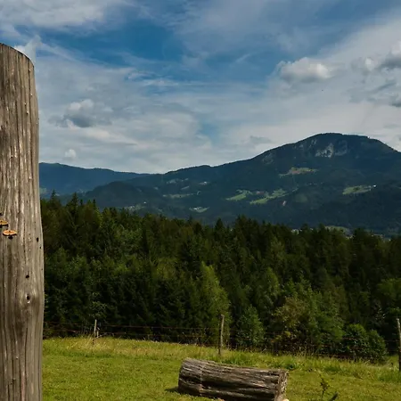 Hiska Ob Gozdu Lukez Plac * Ljubno