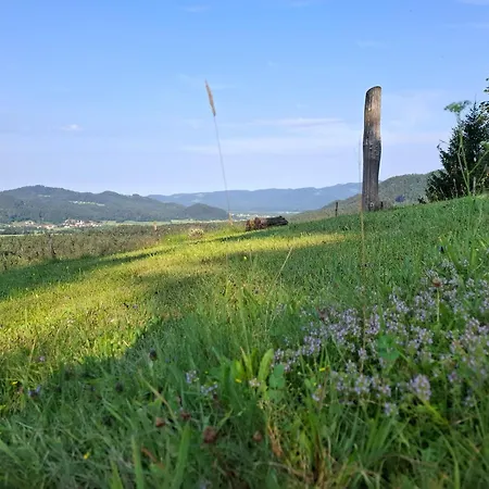 Hiska Ob Gozdu Lukez Plac 아파트