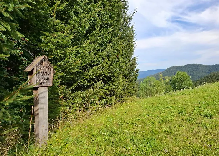 Appartement Hiska Ob Gozdu Lukez Plac Ljubno