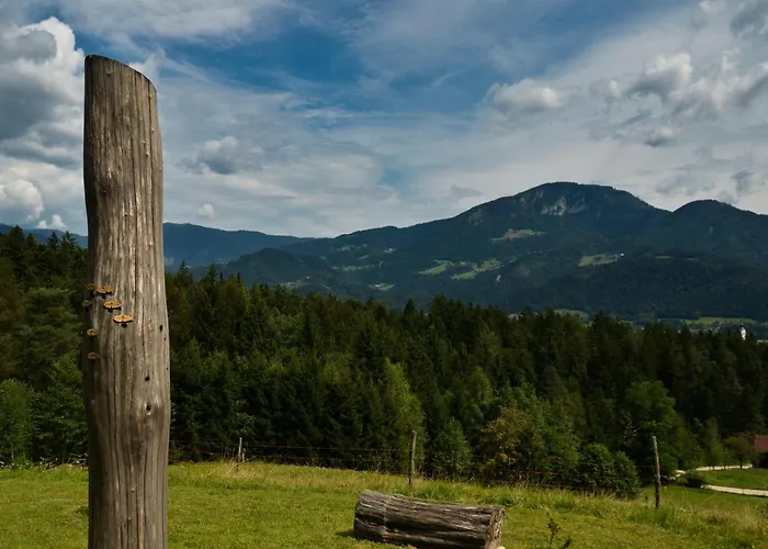 Hiska Ob Gozdu Lukez Plac * Ljubno