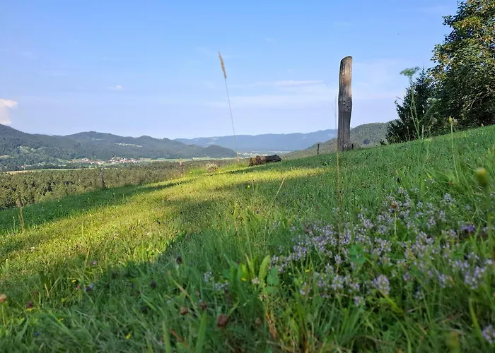 Hiska Ob Gozdu Lukez Plac Appartamento